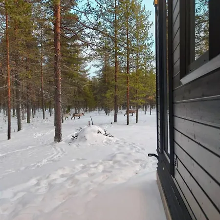 Borealis Village 6 With A Nature View, Fireplace, Sauna, Kitchen בית נופש